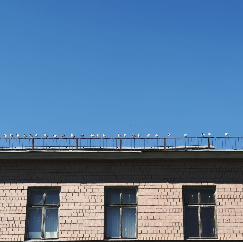 Photograph by Александр Ранчин