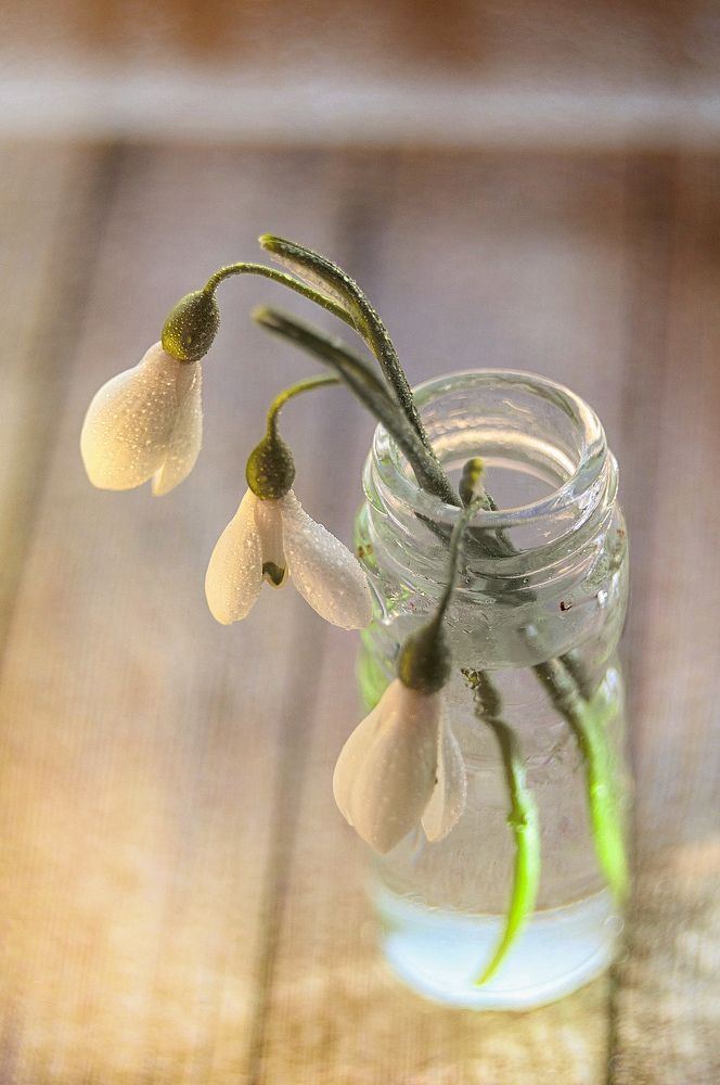 Photograph by Олеся