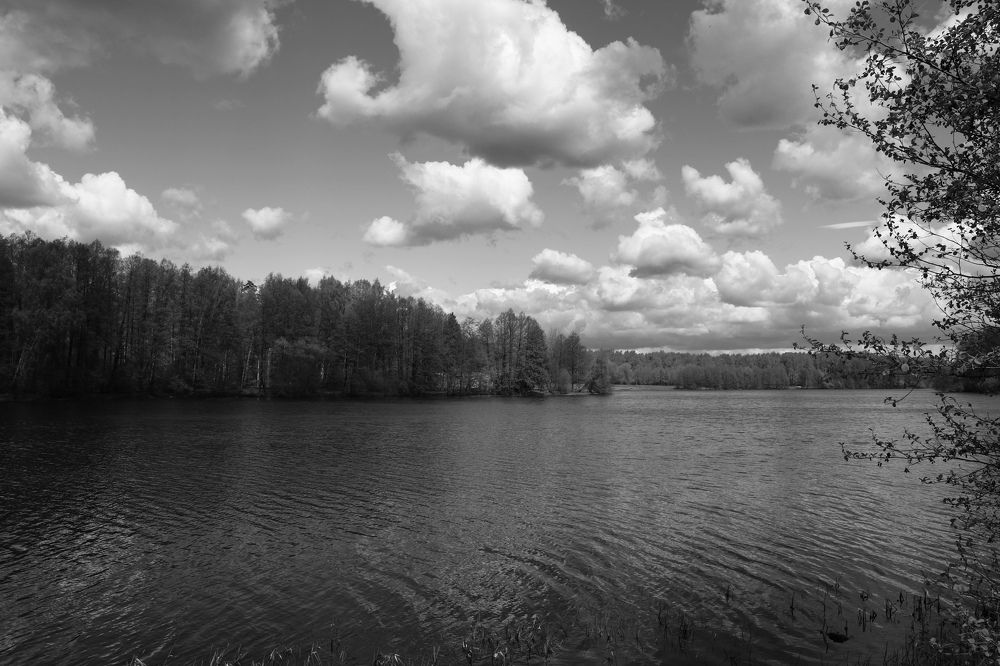 Photograph by Светлана Шуткова