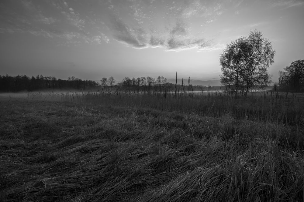 Photograph by Mateusz Szymik Fotografia