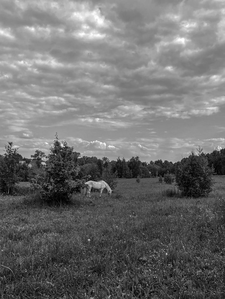 Photograph by Давыдова Алла