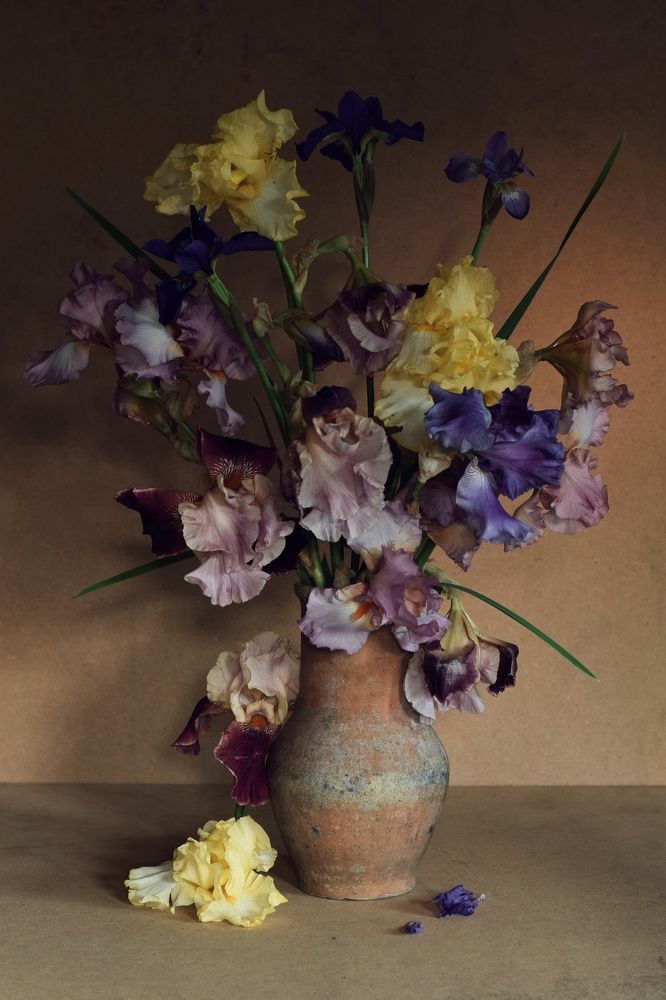 Photograph by Екатерина Долова