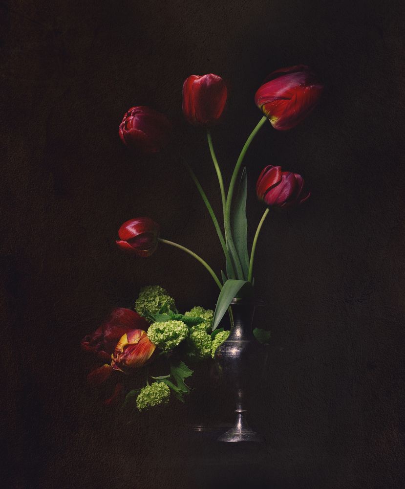 Photograph by Евгения Кинжакова