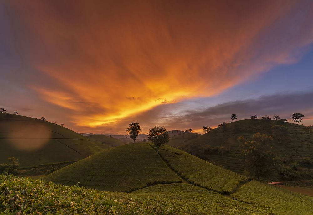 Photograph by Trần Anh Tuấn