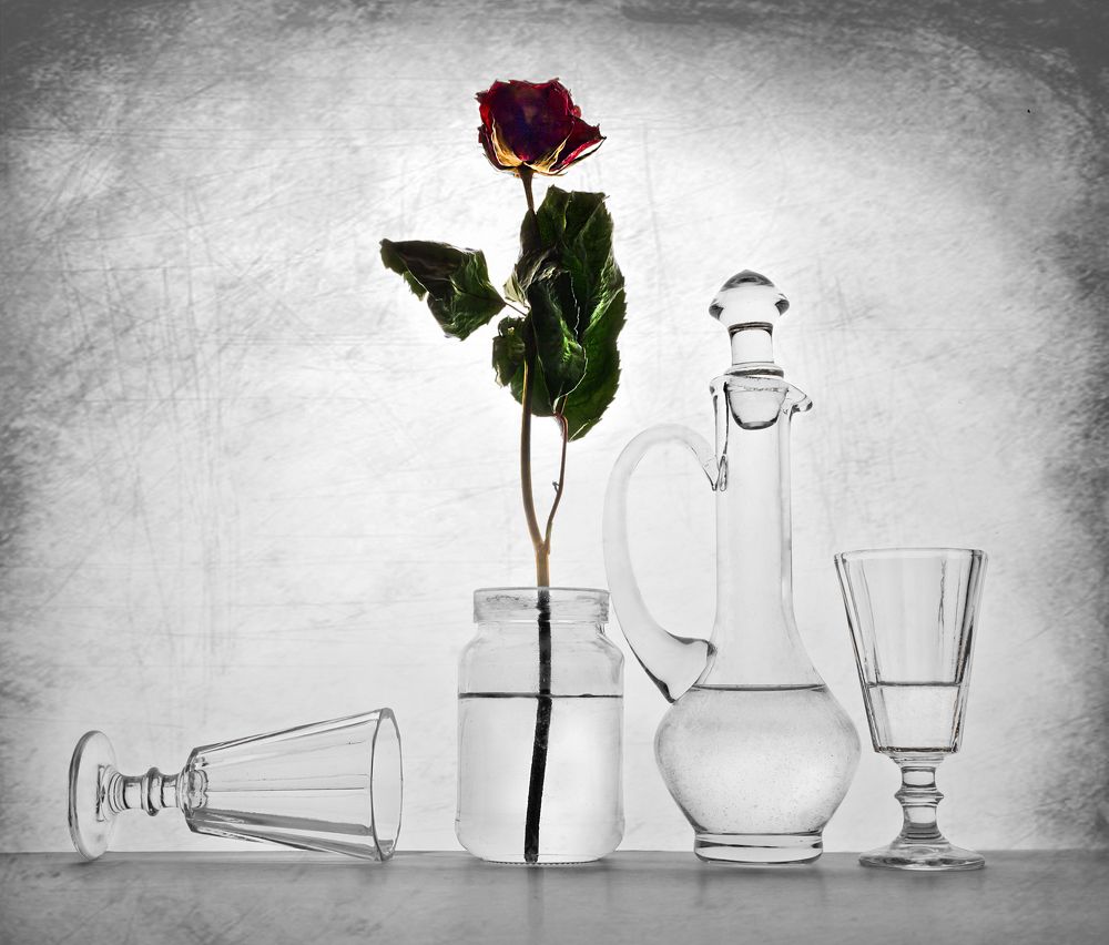 Фотография автора Людмила Прокофьева