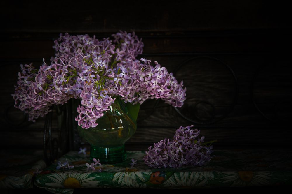 Photograph by Инна Юдина