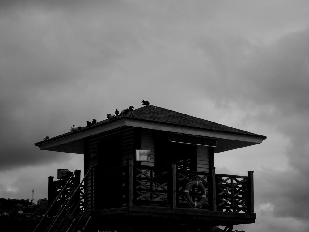 Photograph by Алена Алалыкина