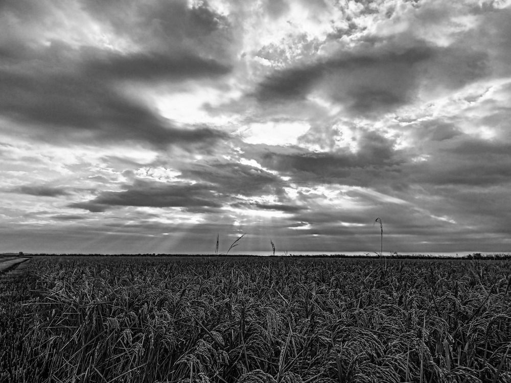 Photograph by Олег Башкуров