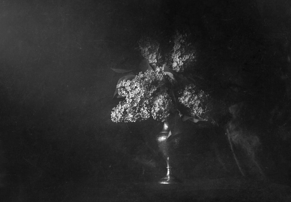 Photograph by Евгения Кинжакова