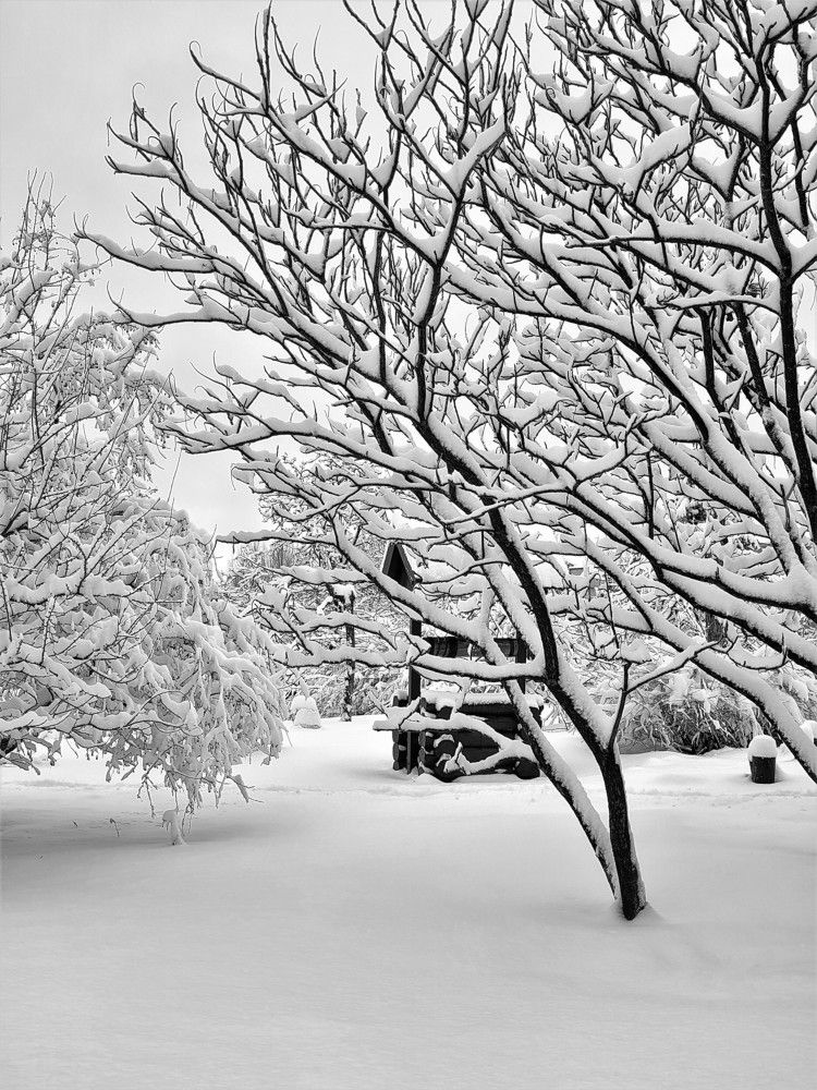 Фотография автора Ольга Игуменова