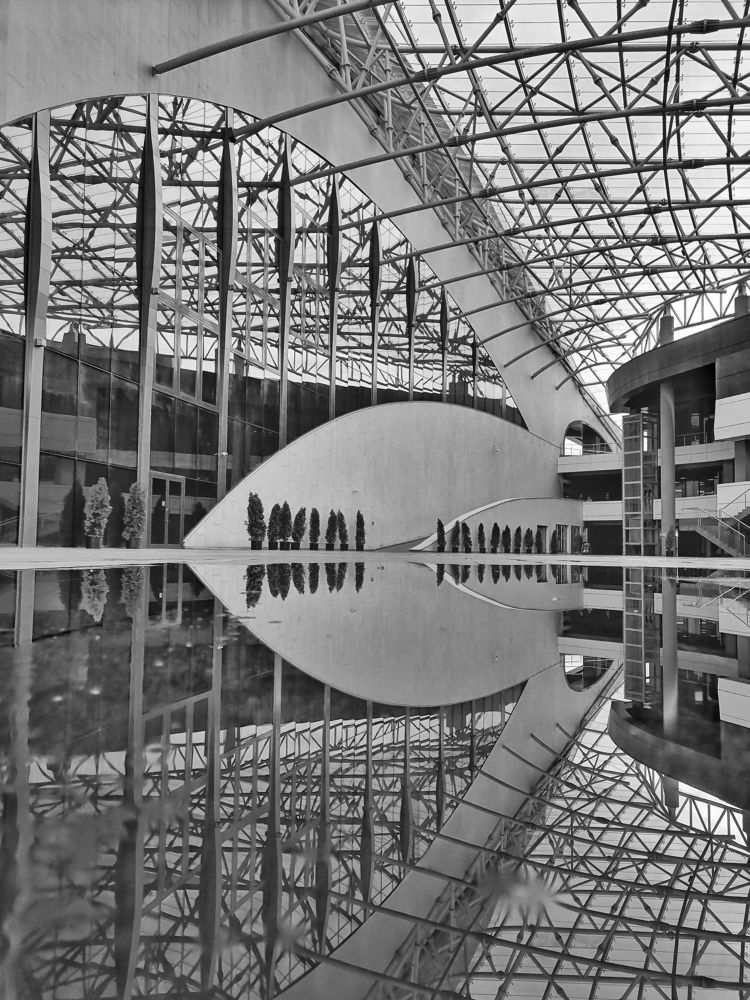 Photograph by Наталья Веряскина