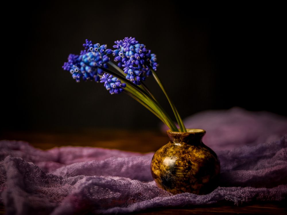 Photograph by Wrapper