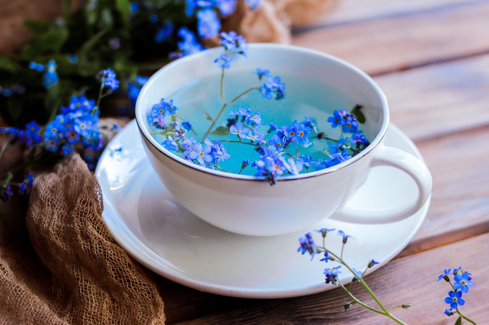 Photograph by Wrapper