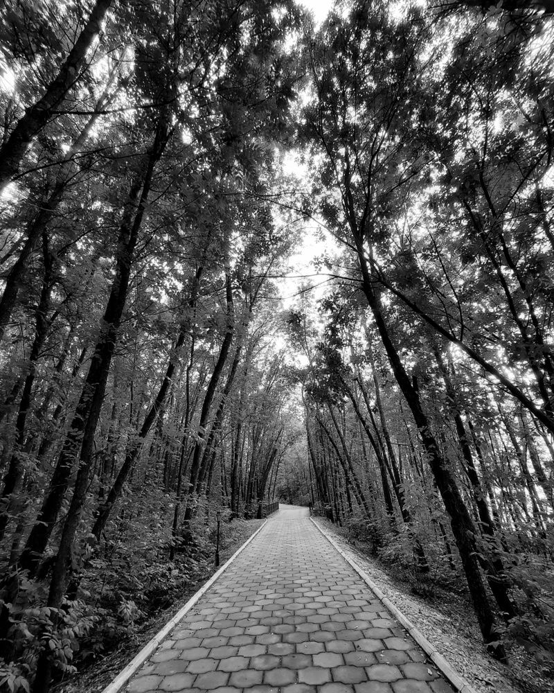 Фотография автора Olga Kunakova