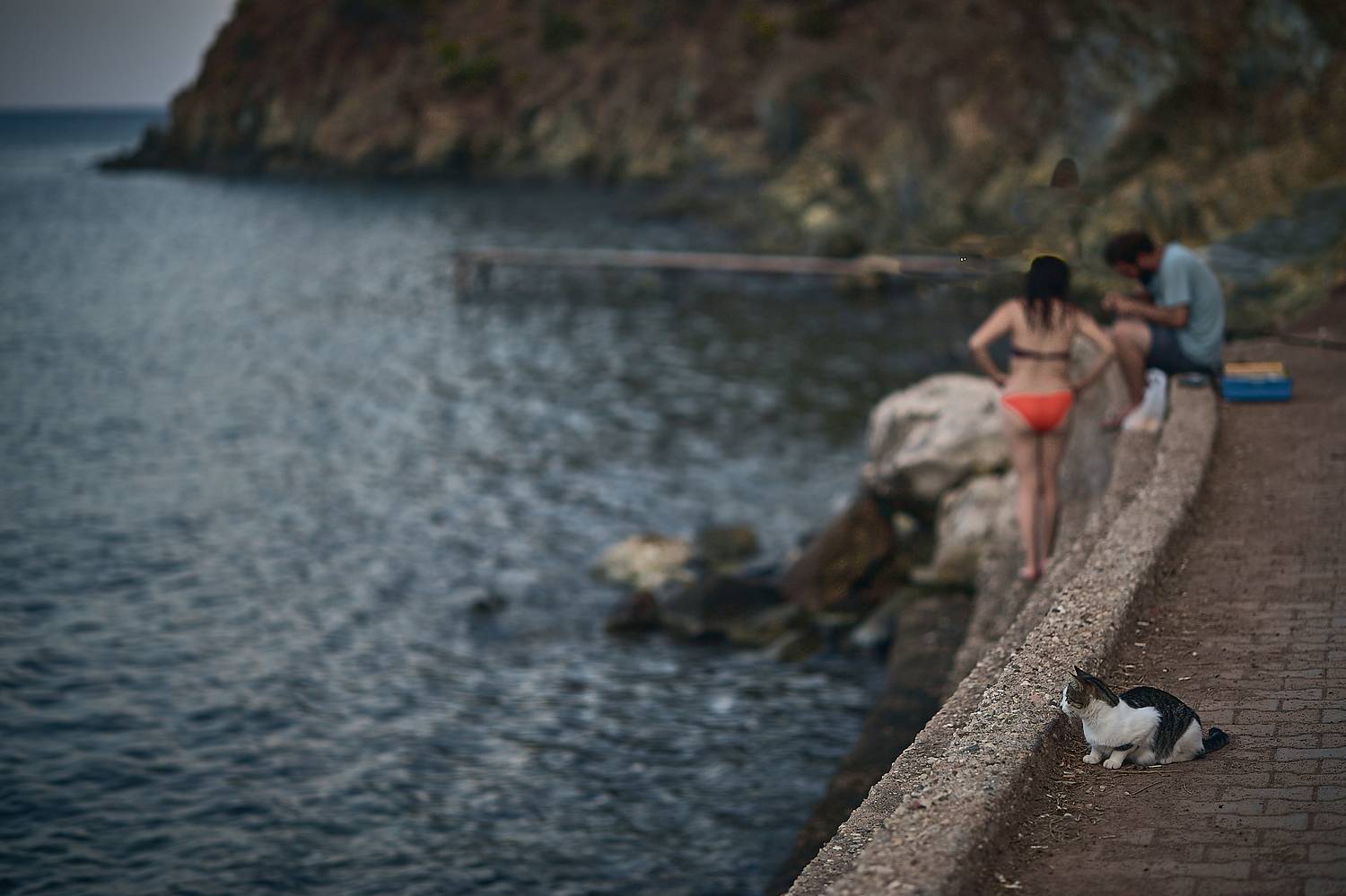 Photo #7811487