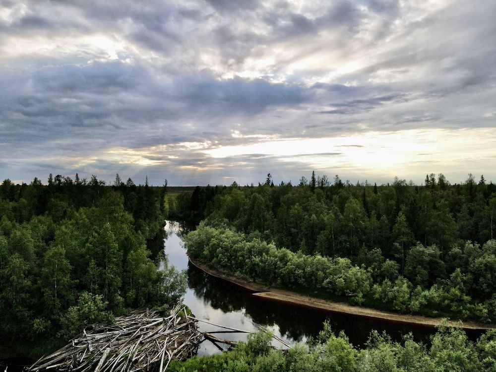 Photograph by Мария Шрейдер