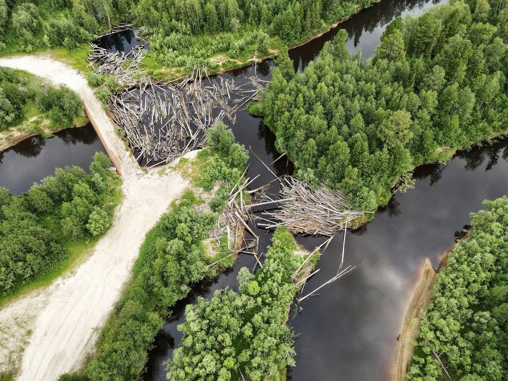 Photograph by Мария Шрейдер