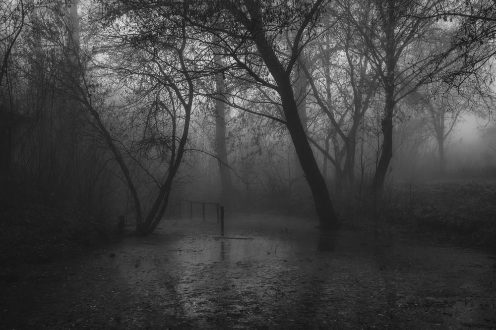 Photograph by Denis Snetkov