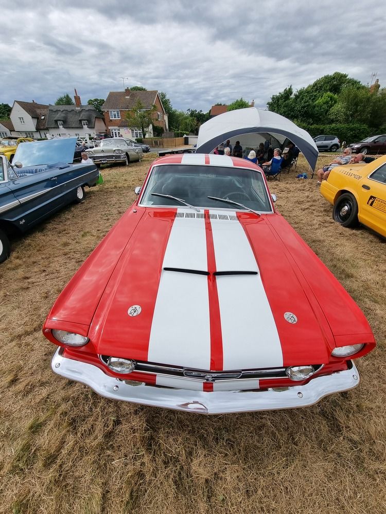 Фотография автора Elvira Cutler