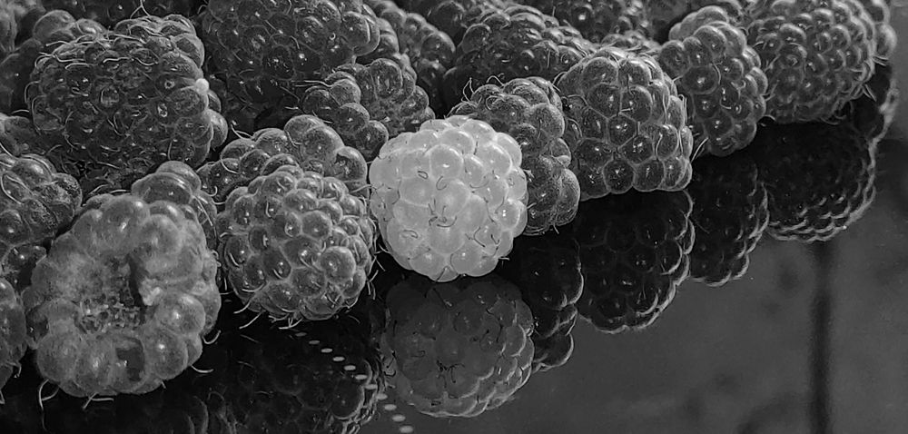 Photograph by Мария