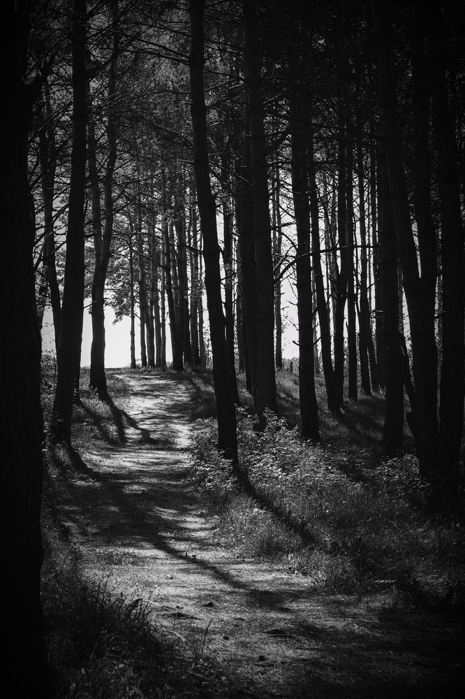 Photograph by Евгений Белов