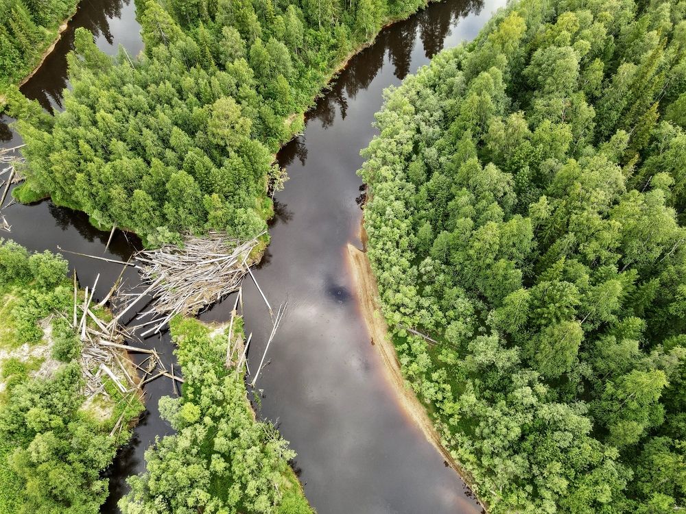 Photograph by Мария Шрейдер