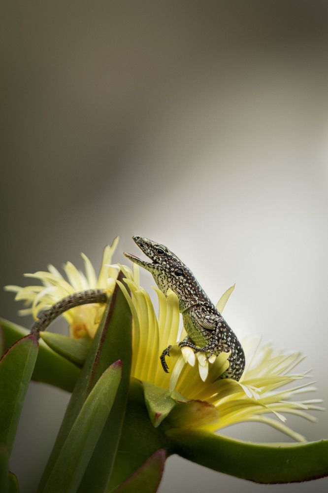 Photograph by Markéta Mastešová