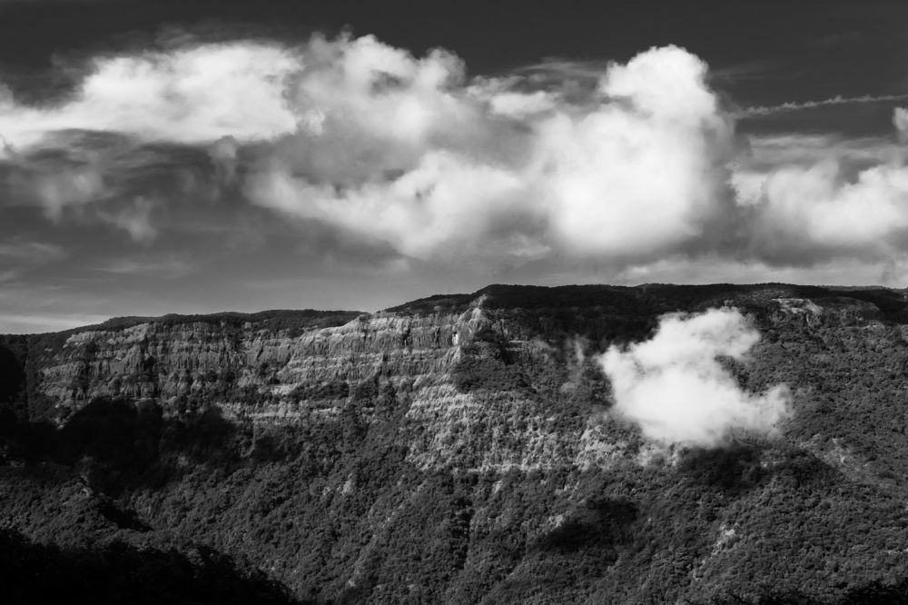 Photograph by Sanket Gudashi