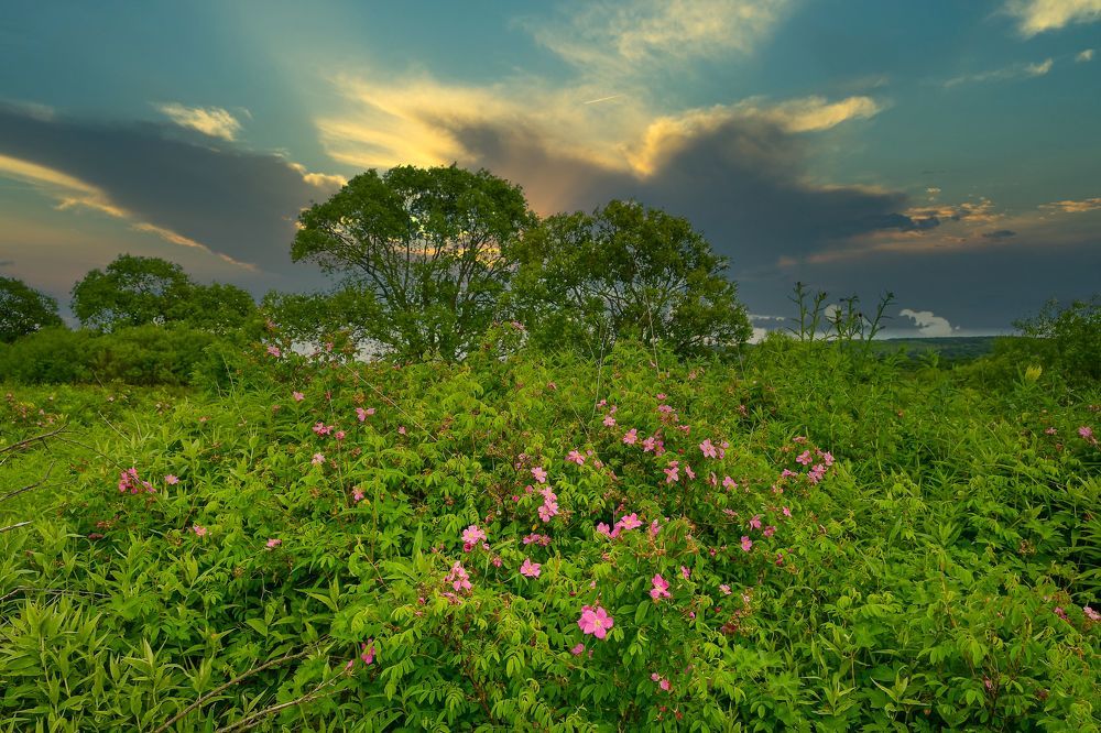 Photograph by Олег Волков