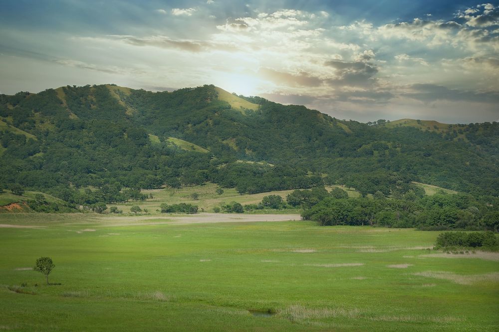 Photograph by Олег Волков