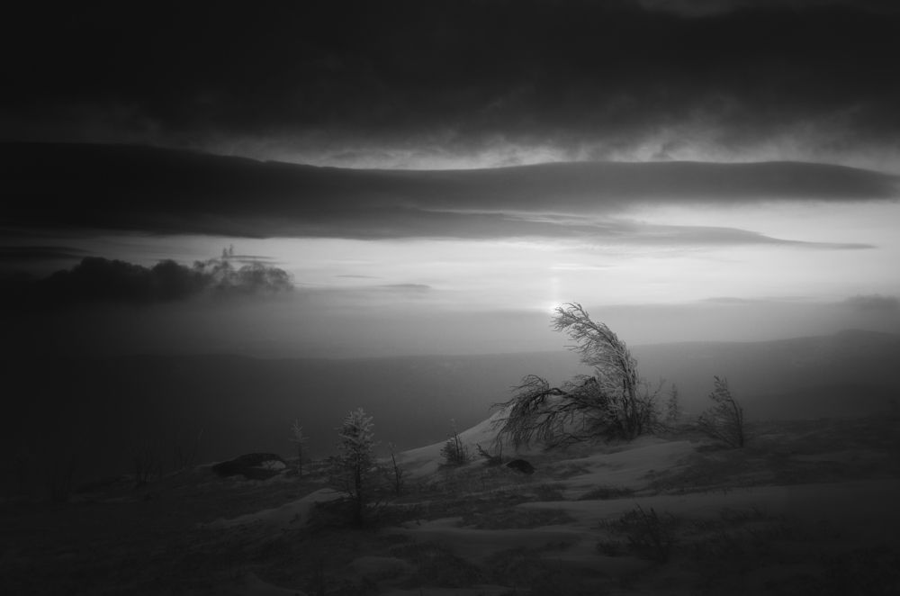 Photograph by Илья Толстоноженко