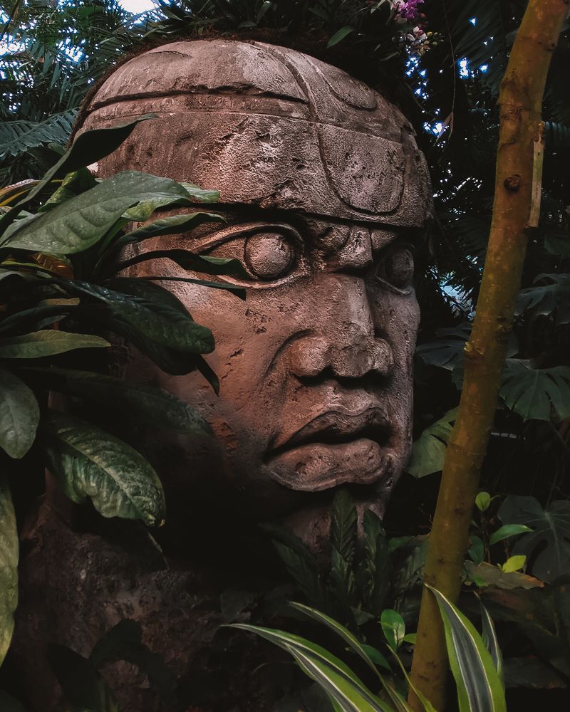 Photograph by Ольга