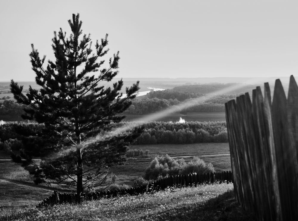 Photograph by Денис Терехин