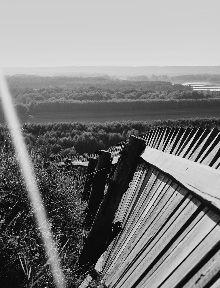 Photograph by Денис Терехин