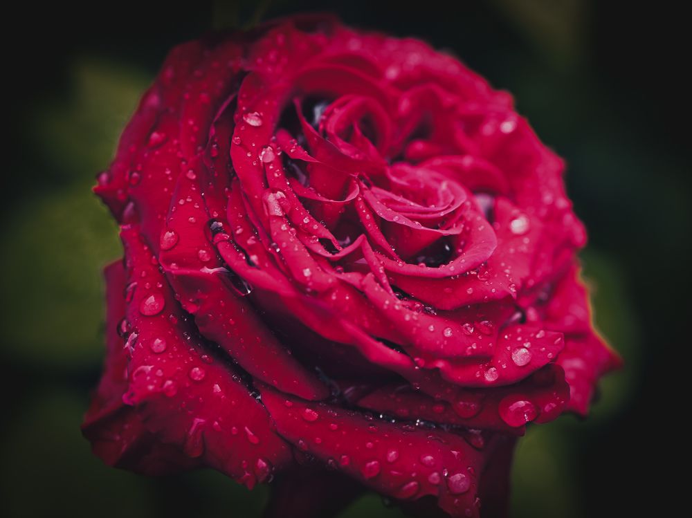 Photograph by Anastasia Uraeva