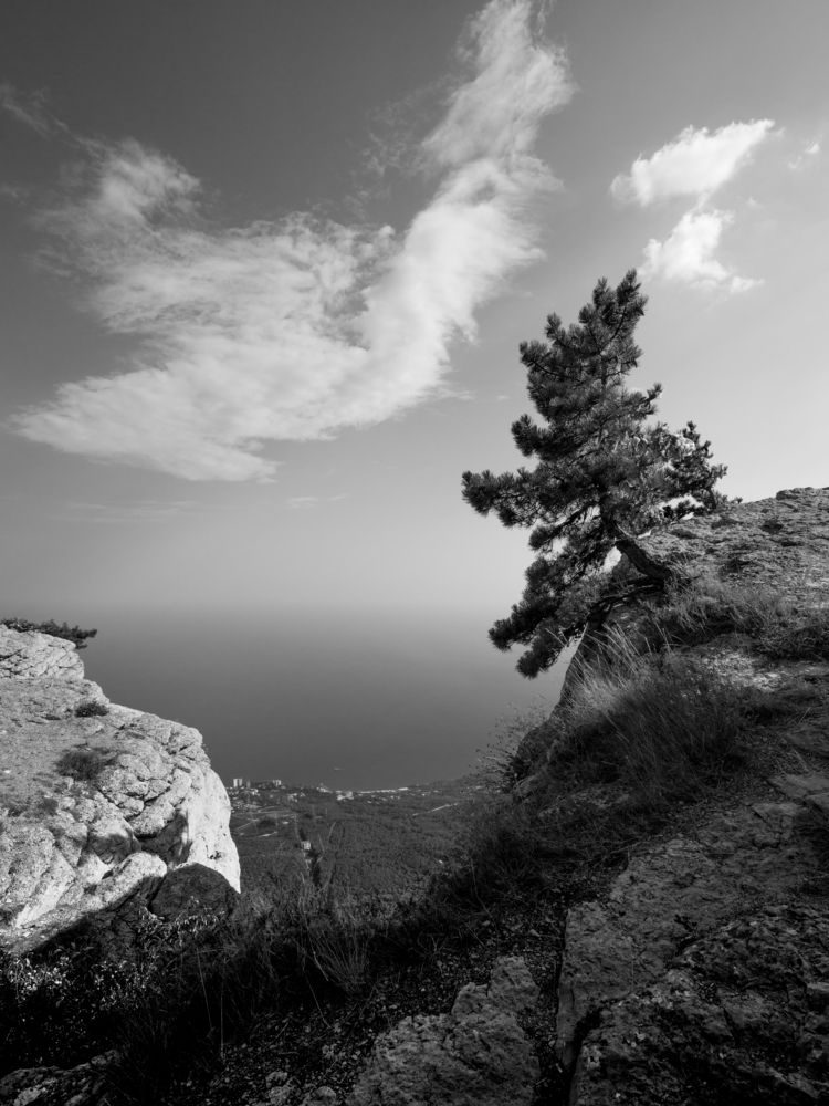 Photograph by Борис Леваков