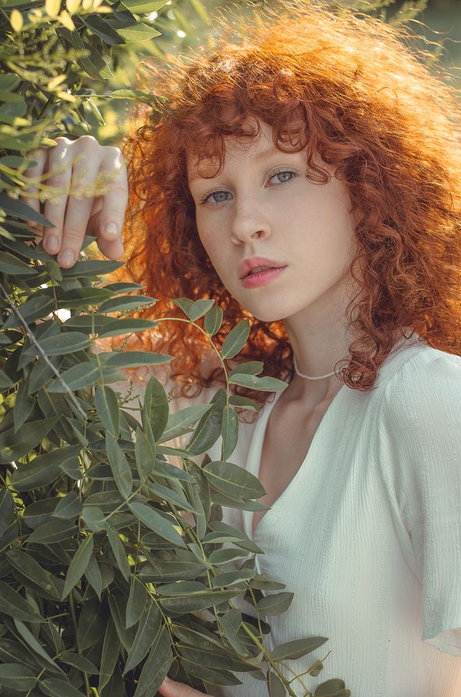 Фотография автора Oleksandr Shatyrov