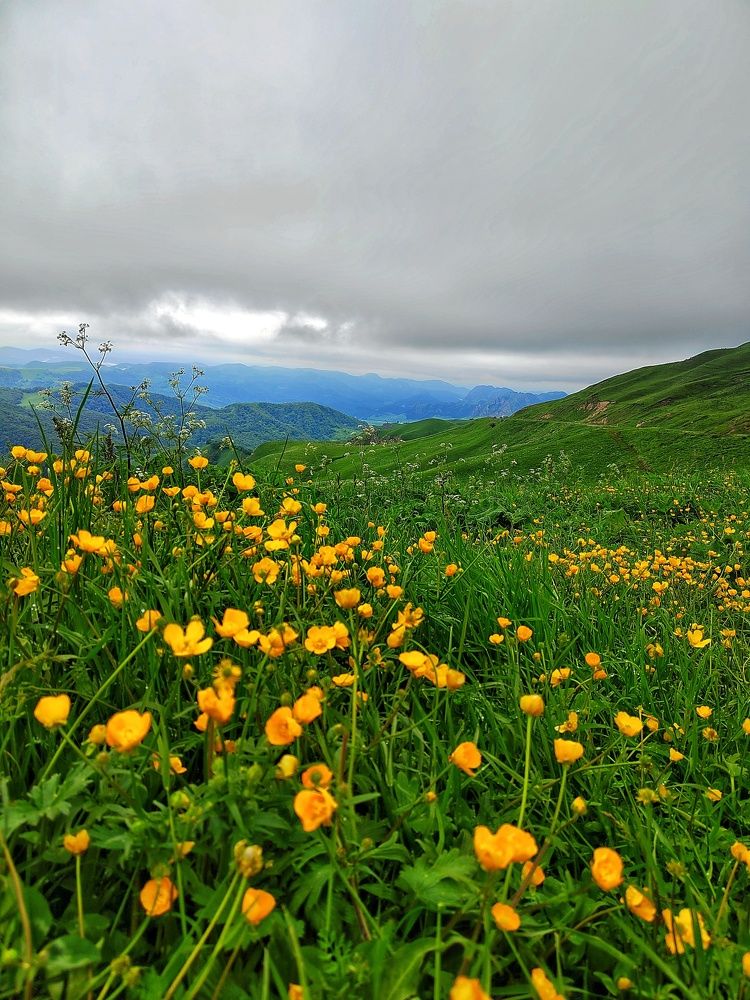 Photograph by Светлана