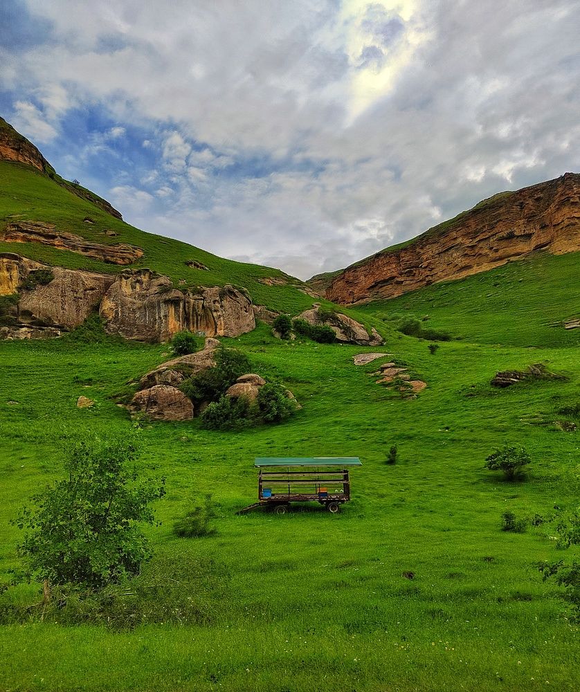 Photograph by Светлана