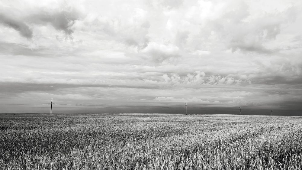 Photograph by Александр Казак