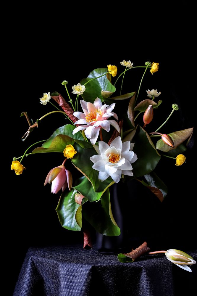 Photograph by Татьяна Кытина