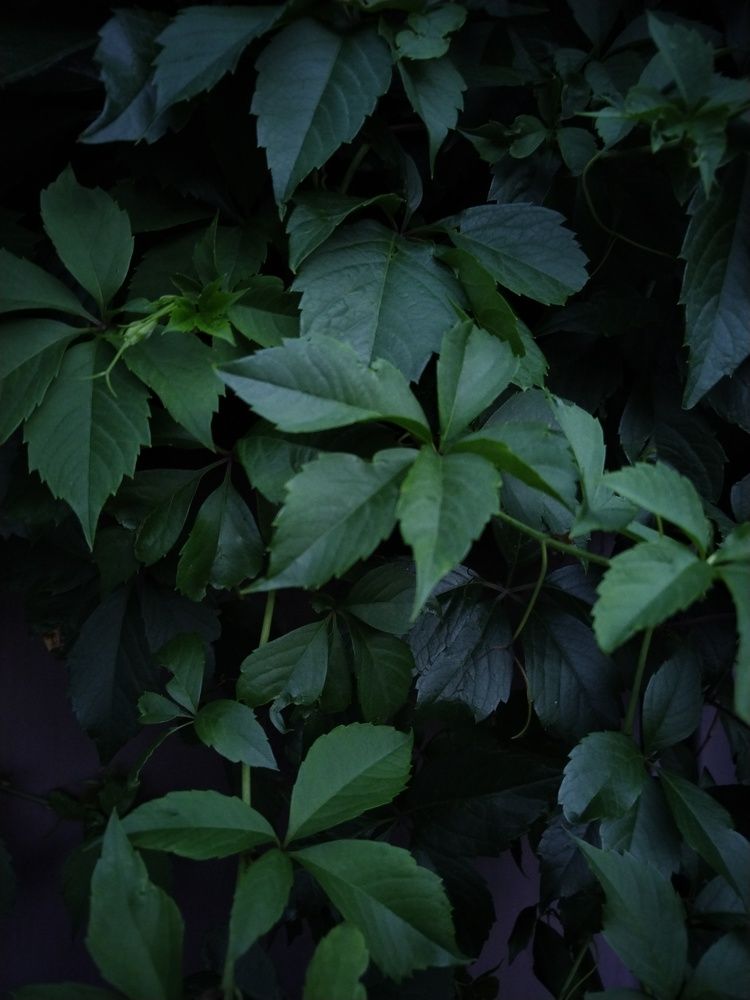 Photo #7812154
