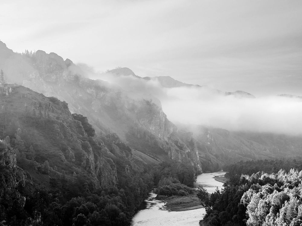 Photograph by Rogozina Olga