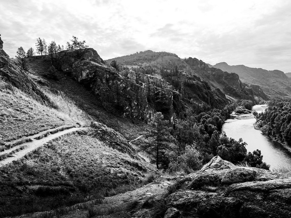 Photograph by Rogozina Olga