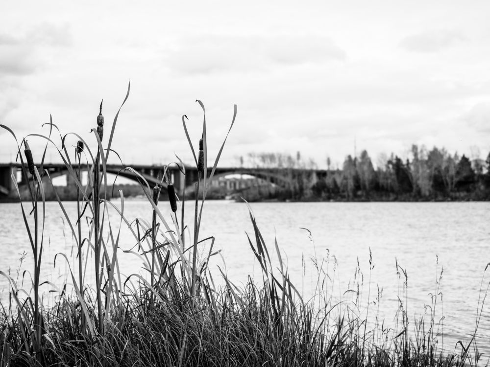 Photograph by Евгения Чепурная