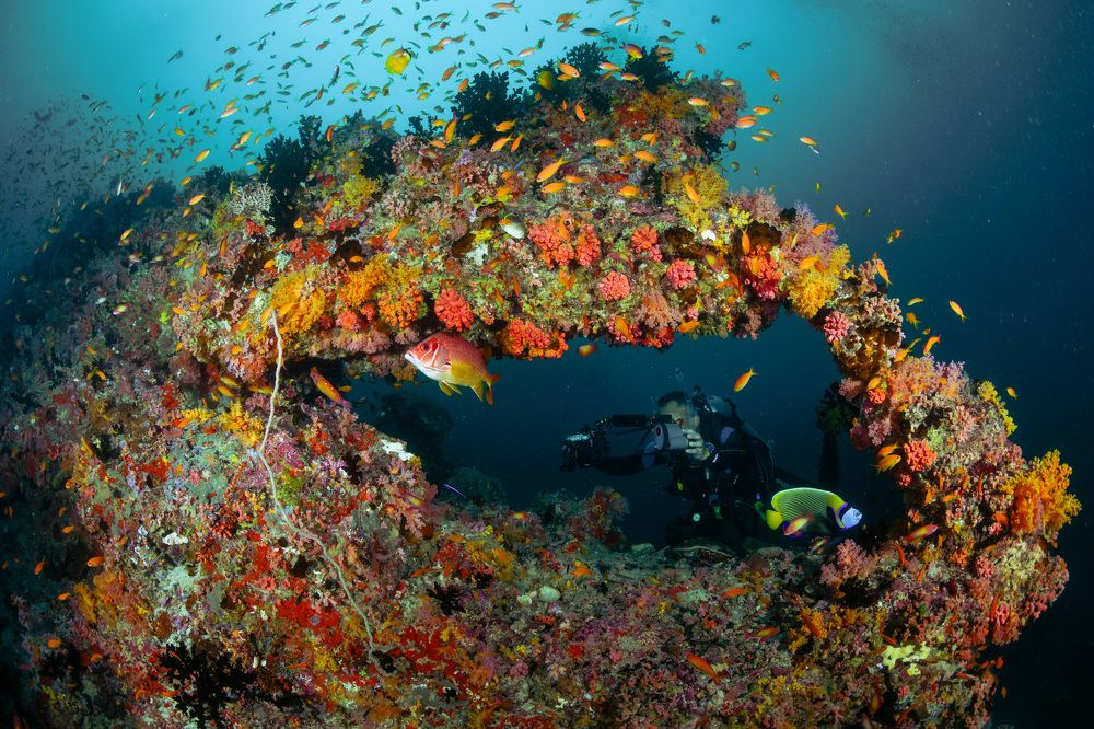 Photograph by HITOMI TSUCHIYA