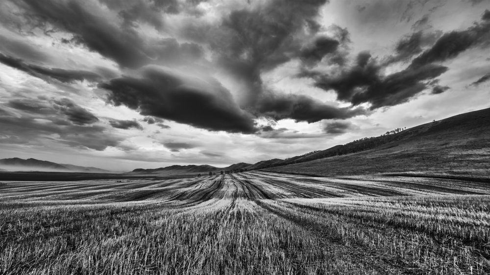 Не паханное поле в пасмурный день.