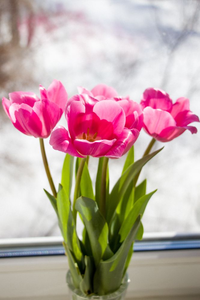 Photograph by Nikita Oshvintsev