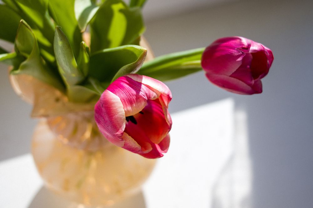 Photograph by Nikita Oshvintsev