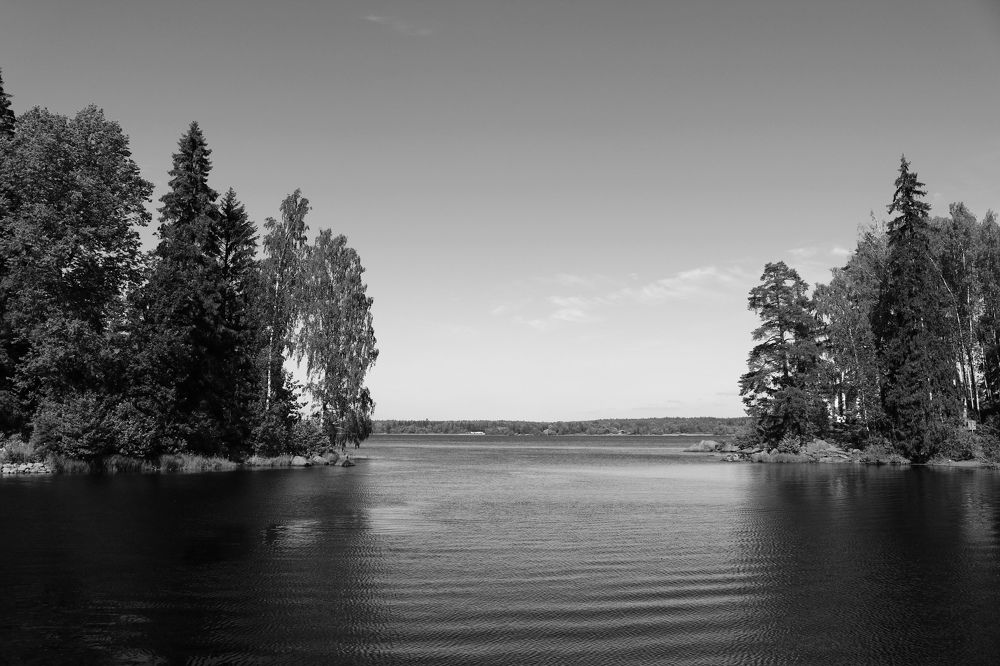 Photograph by Светлана Шуткова